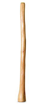 Medium Size Natural Finish Didgeridoo (TW1703)